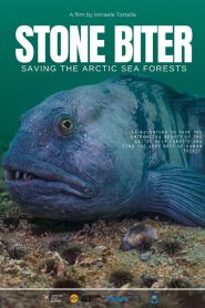 Stone Biter: Saving the Arctic Sea Forests