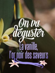 On va déguster : La vanille, l’or noir des saveurs