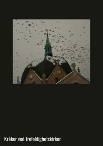 Crows at Trinity Church