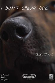 I Don’t Speak Dog (But I’ll Try)