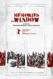 Memories of a Window