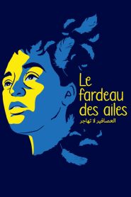 The Bird’s Placebo