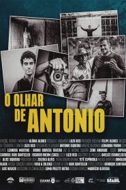 O Olhar de Antonio