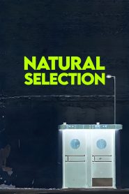 Natural Selection
