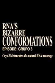 RNA’S Bizarre Conformations