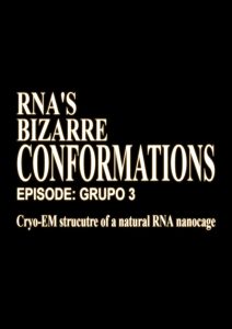 RNA’S Bizarre Conformations