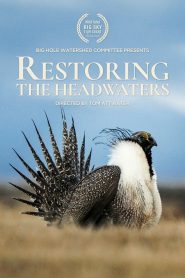 Restoring the Headwaters