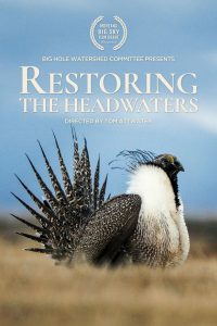 Restoring the Headwaters